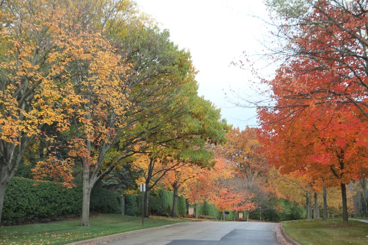 Sheridan Road, Lake Forest